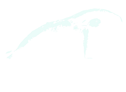 Fisio Mazaro